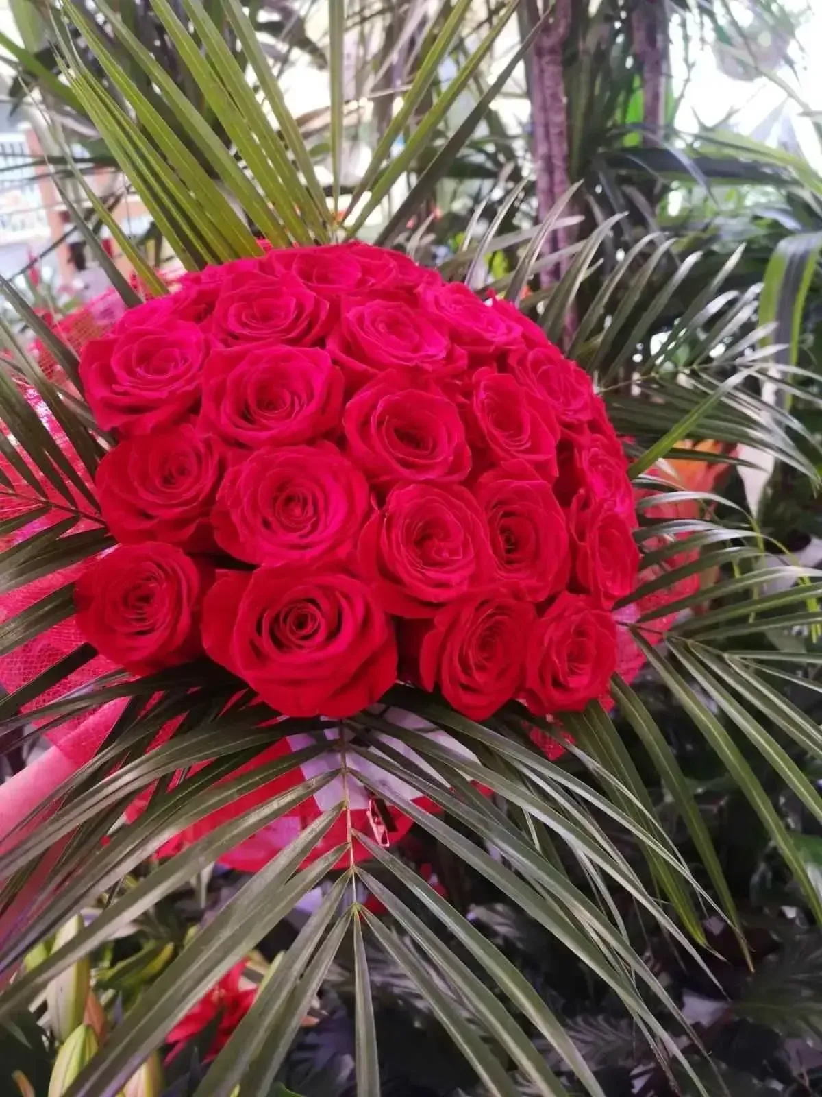 Un ramo esférico de vibrantes rosas rojas sobre un fondo de hojas de palmera verdes.