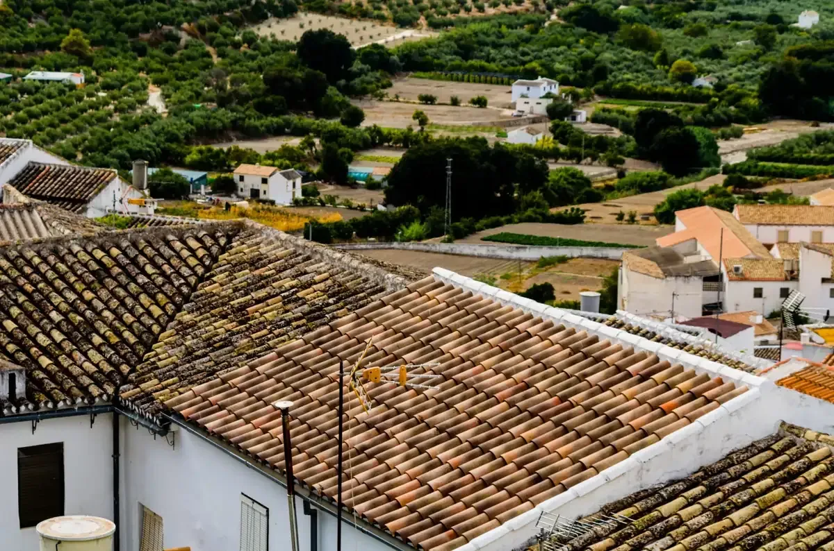 Habitación en construcción con paneles de yeso verde, puerta abierta y ventana con radiador.