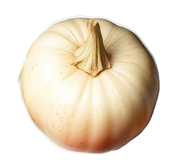 Calabaza blanca con tallo seco.