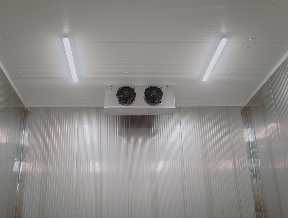Ventilation de chambre froide