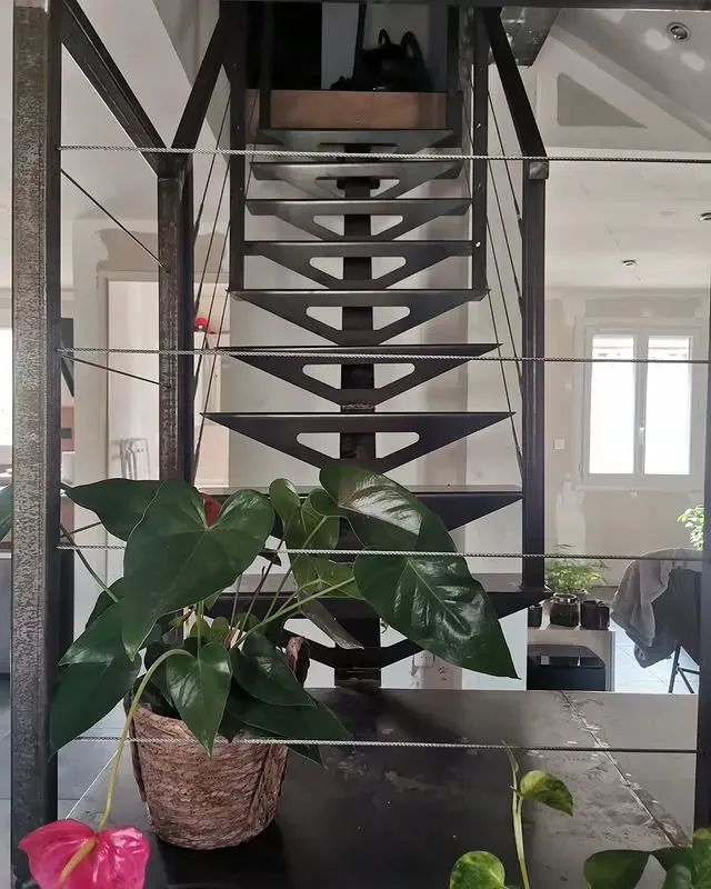 Photo d'intérieur d'un escalier à structure métallique, d'une plante d'intérieur dans un pot en osier et de lumière réfléchie.