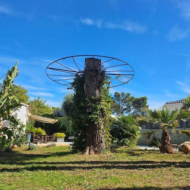 Un tronc d'arbre recouvert de lianes, surmonté d'une structure métallique circulaire, dans un jardin ensoleillé.