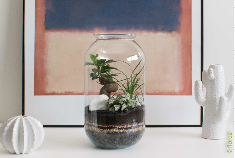 Terrarium
