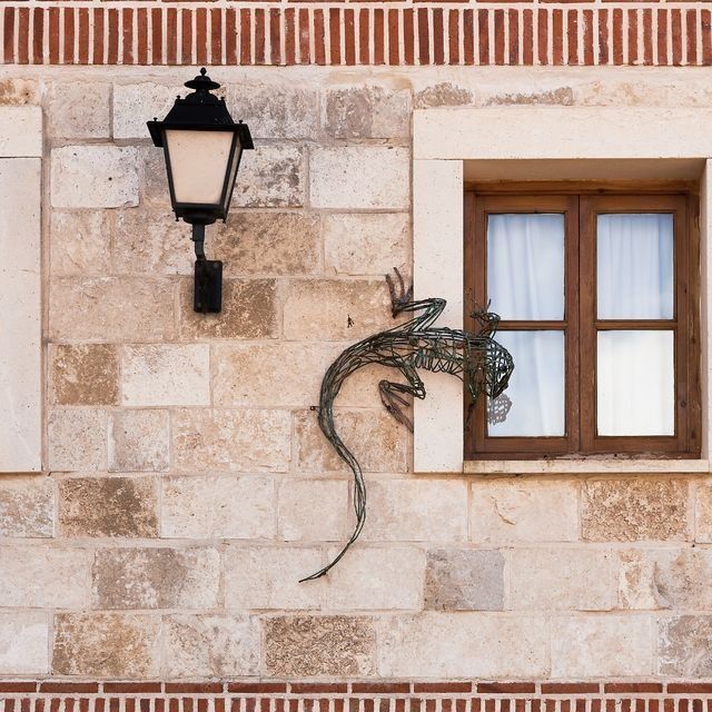 Un lagarto está colgado en una pared de ladrillos junto a una ventana.