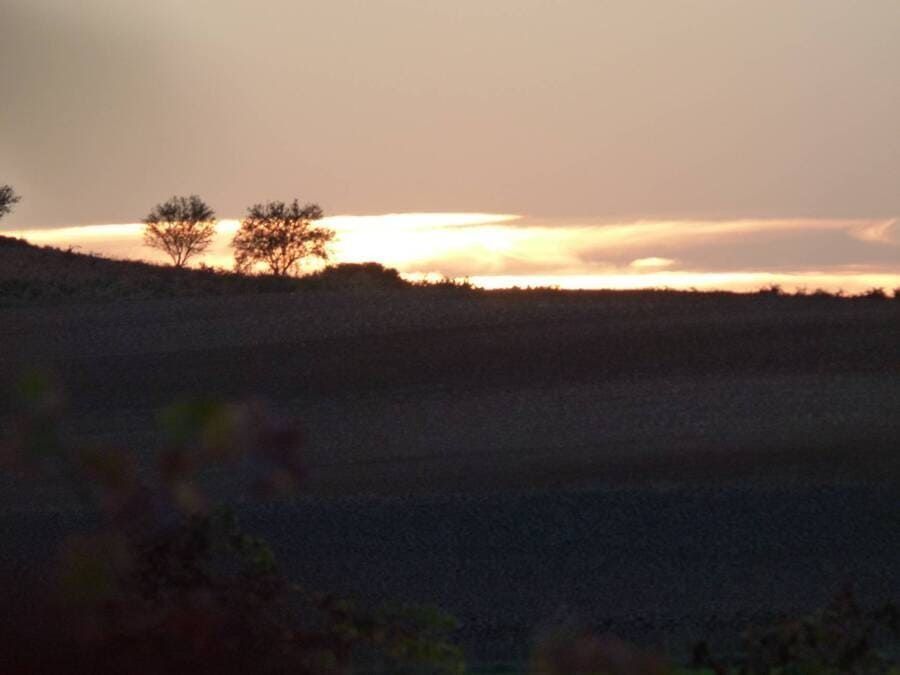 Una puesta de sol sobre un campo con árboles en primer plano