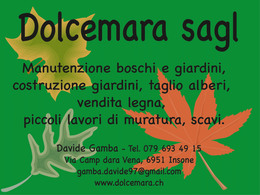 Dolcemara Sagl logo