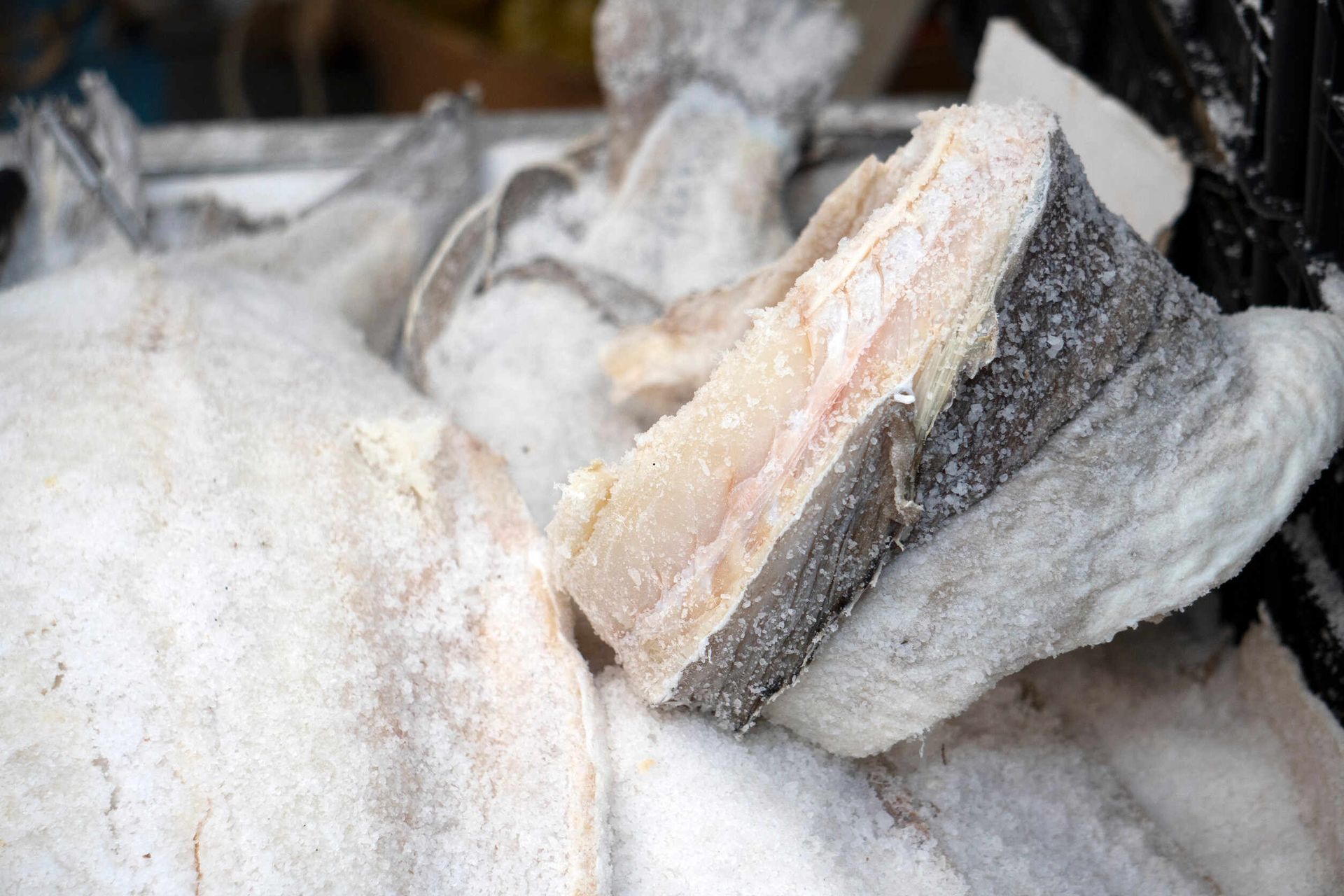 Una variedad de mariscos se exhibe en una mesa