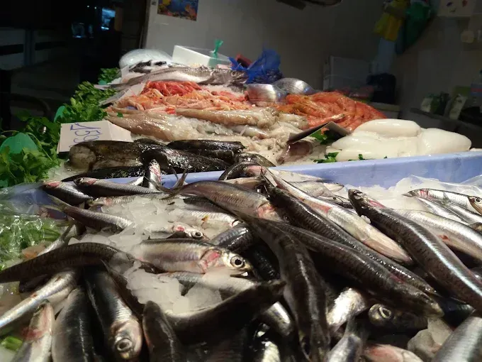 Un montón de peces están sentados encima del hielo.
