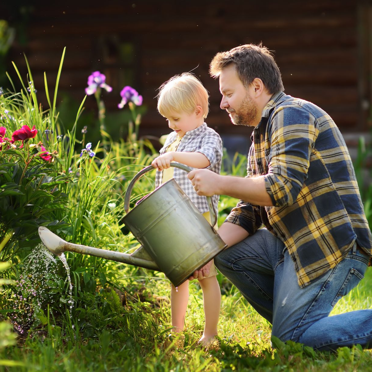 Un homme et un enfant arrosant des plantes dans un jardin.