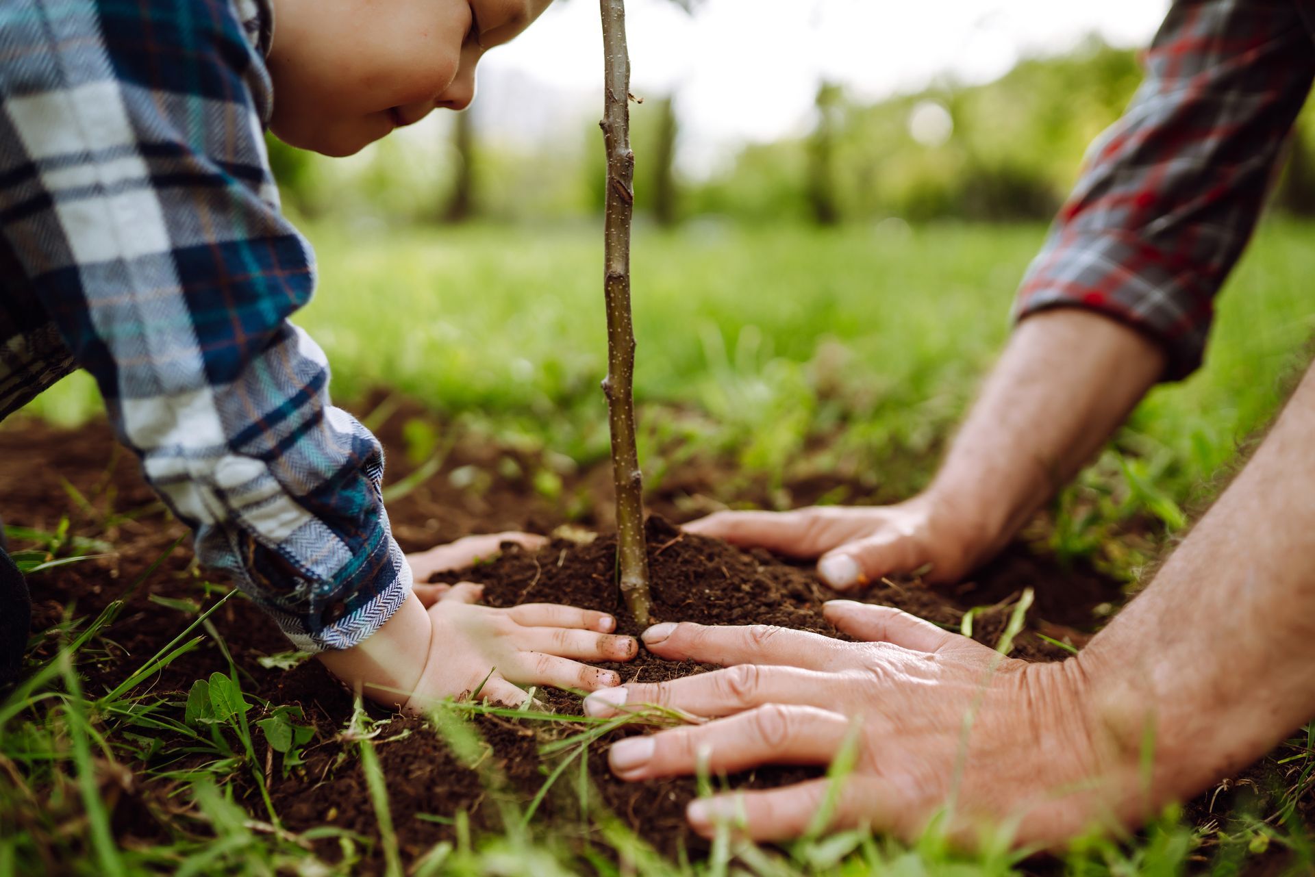 Un homme et un enfant plantant un arbre.