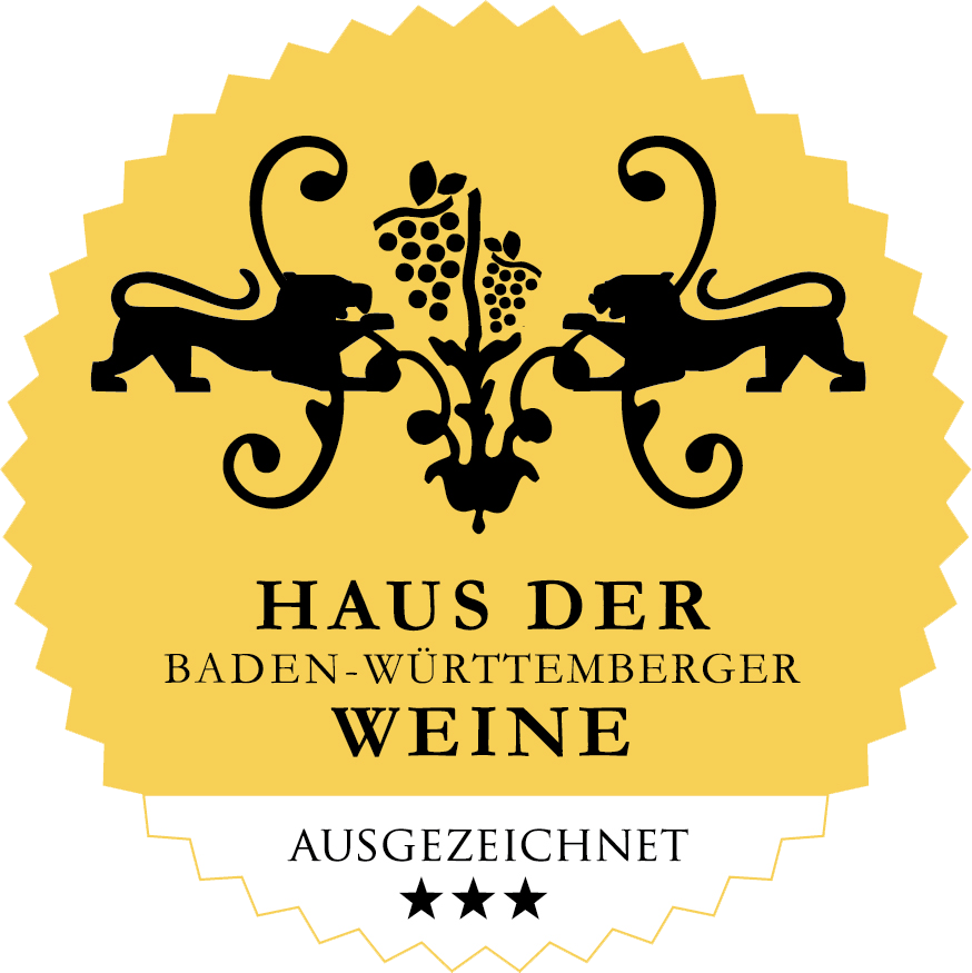 Modernes helles minimalistisches Wohnzimmer
