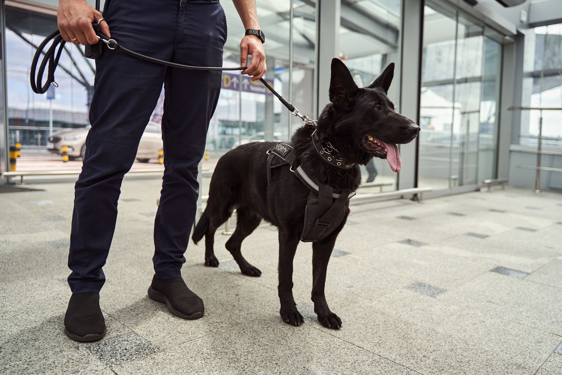 Agent cynophile avec son chien