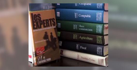 Différents livres relatifs à la comptabilité et au commerce