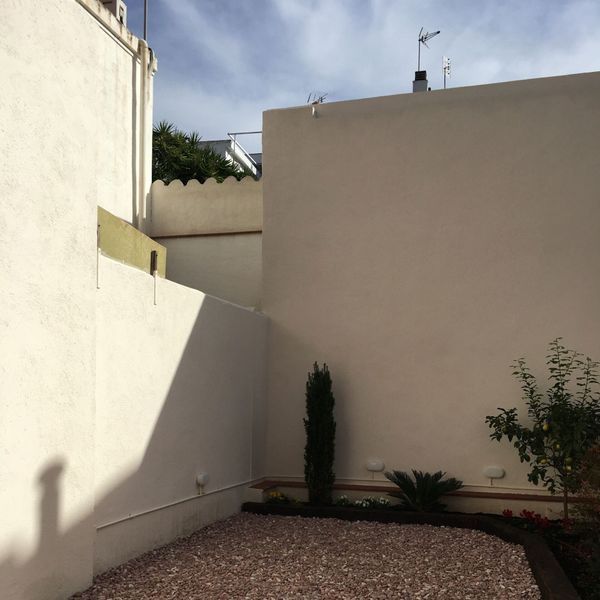 La sombra de un árbol se proyecta sobre una pared blanca.