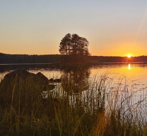 Luo Alt-tekstitunnisteet hakukoneoptimointia ja saavutettavuutta varten. 