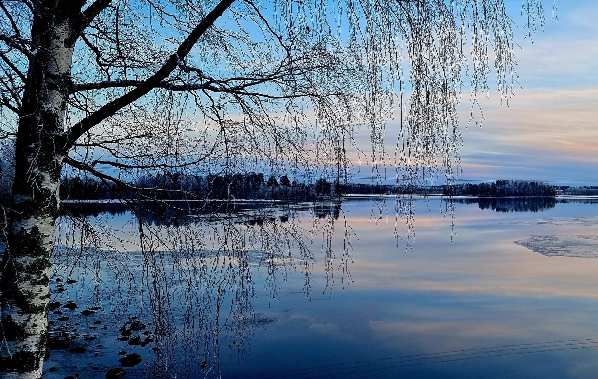 Luo Alt-tekstitunnisteet hakukoneoptimointia ja saavutettavuutta varten.