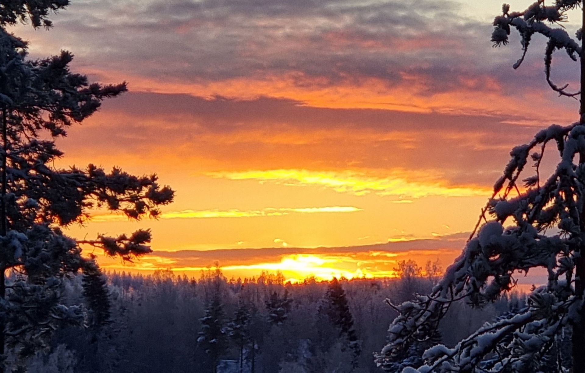 Luo Alt-tekstitunnisteet hakukoneoptimointia ja saavutettavuutta varten.