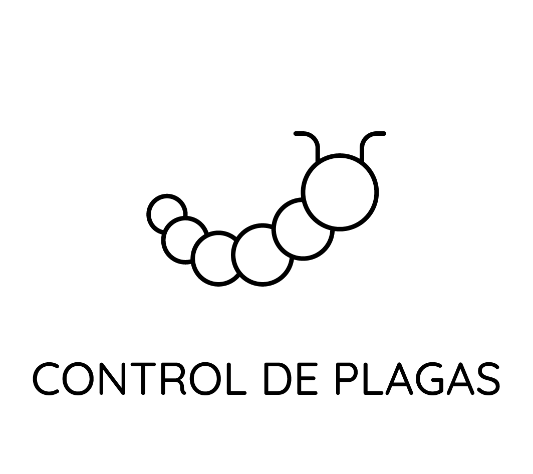 Un dibujo en blanco y negro de una oruga con las palabras