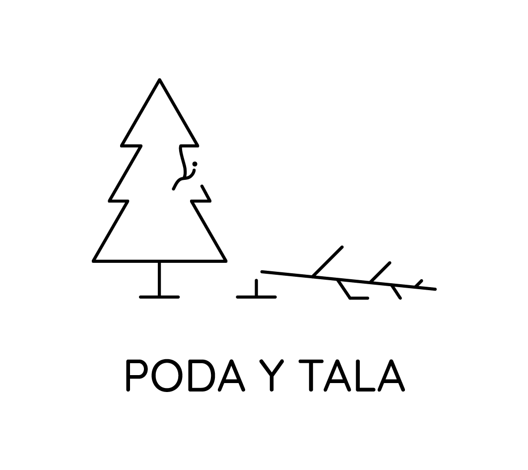 Un dibujo en blanco y negro de un pino con ramas que salen de él.