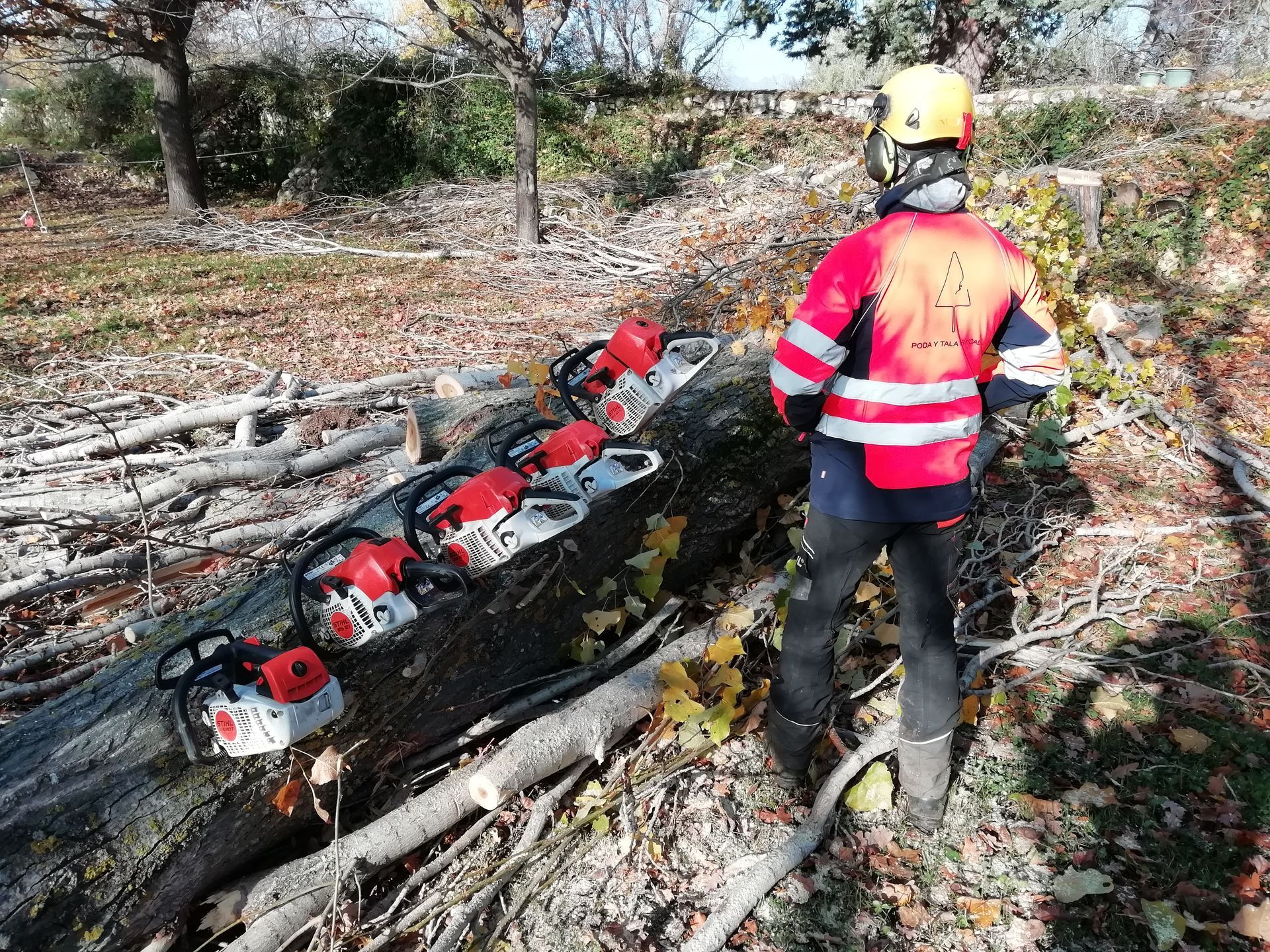 Un hombre está de pie junto a una pila de troncos y motosierras.
