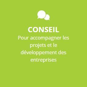 Fond vert avec le texte blanc CONSEIL Pour accompagner les projets et le développement des entreprises.