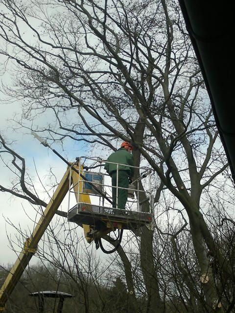 Grünflächen- & Sportplatzpflege