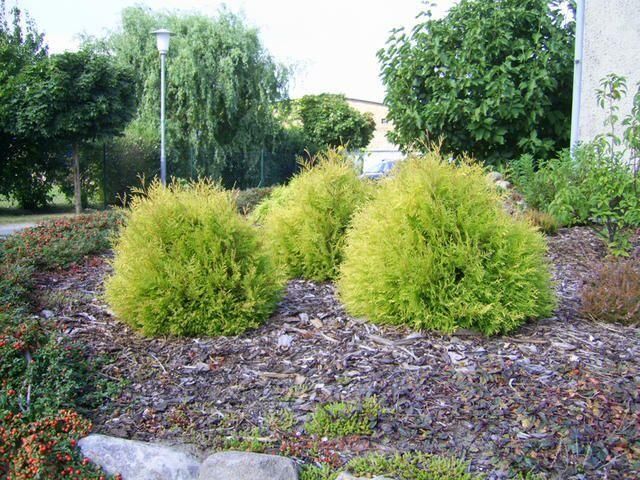 Grünflächen- & Sportplatzpflege