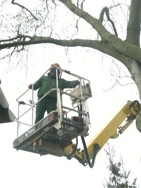 Grünflächen- & Sportplatzpflege