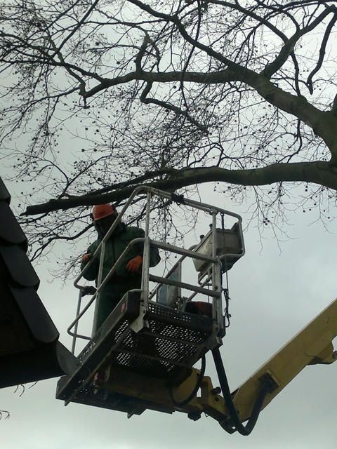 Grünflächen- & Sportplatzpflege