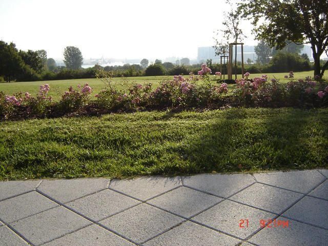 Grünflächen- & Sportplatzpflege