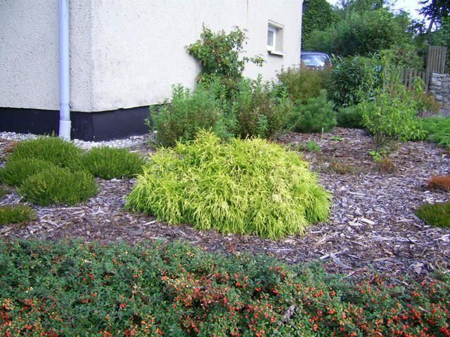 Grünflächen- & Sportplatzpflege