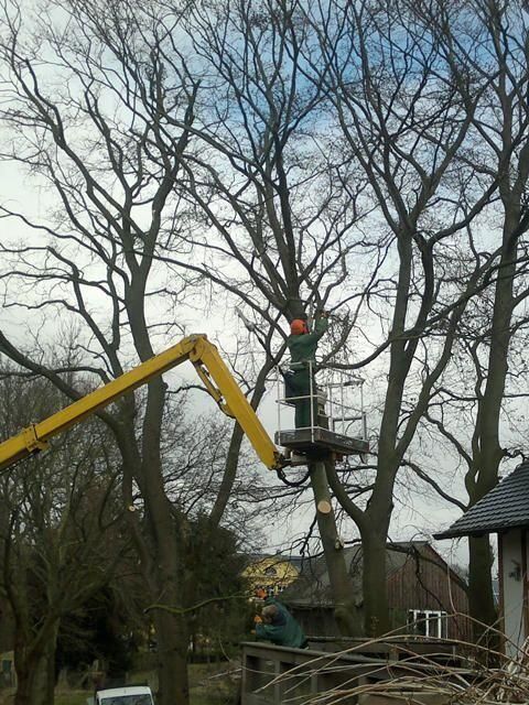 Grünflächen- & Sportplatzpflege