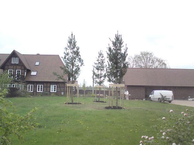 Pflanzarbeiten jeder Art