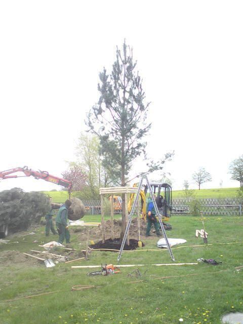 Pflanzarbeiten jeder Art