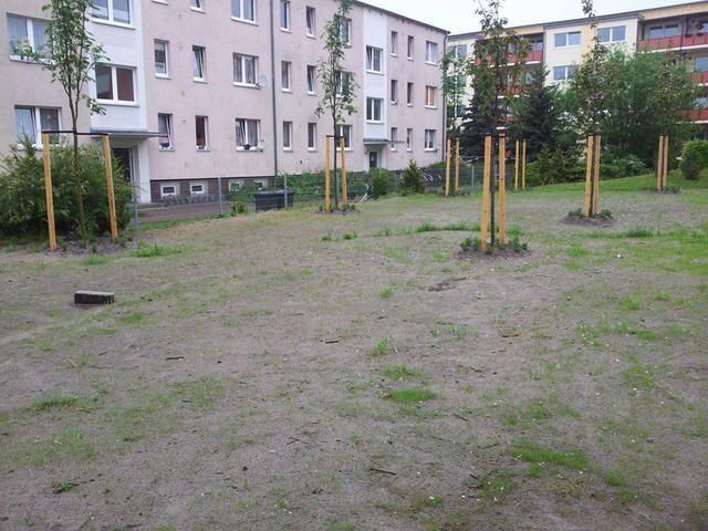 Pflanzarbeiten jeder Art