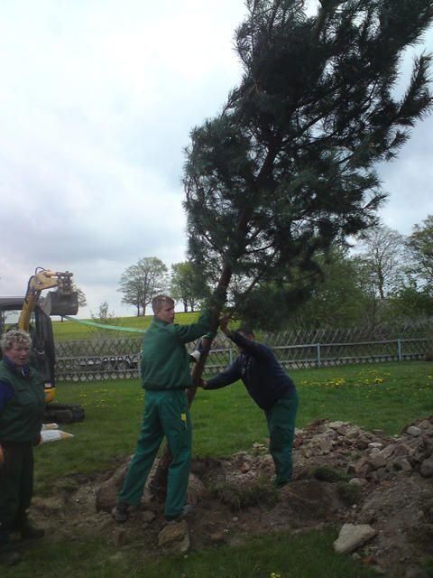 Pflanzarbeiten jeder Art