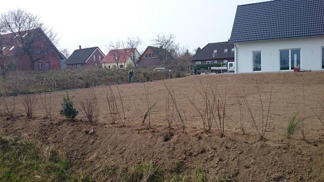 Pflanzarbeiten jeder Art