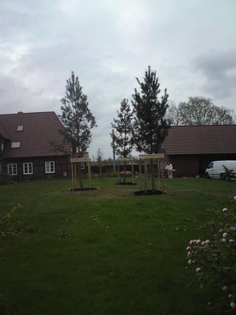 Pflanzarbeiten jeder Art