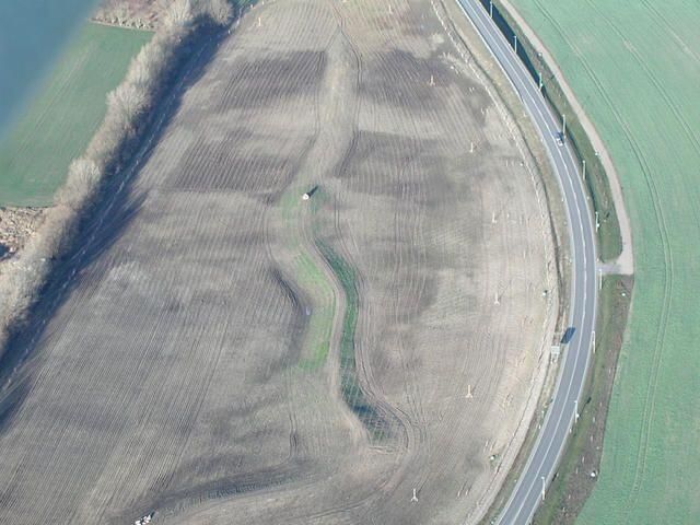 Pflanzarbeiten jeder Art