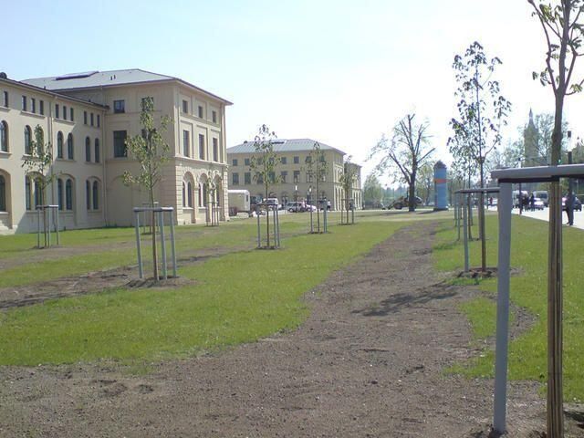 Pflanzarbeiten jeder Art