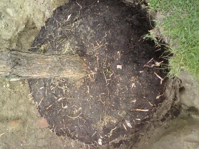 Pflanzarbeiten jeder Art