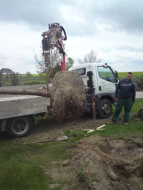 Pflanzarbeiten jeder Art