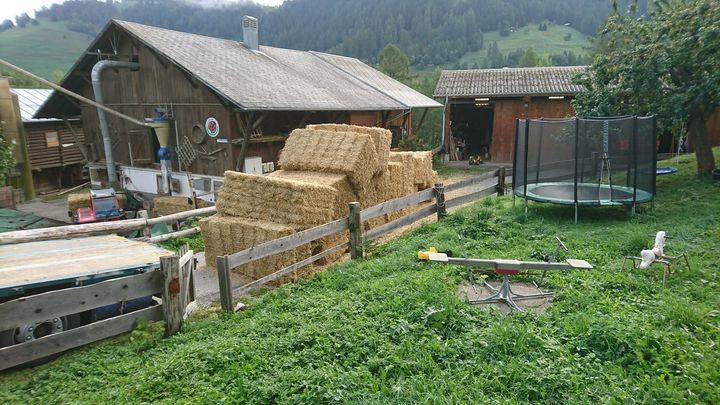 Strohballen auf LKW Strohernte