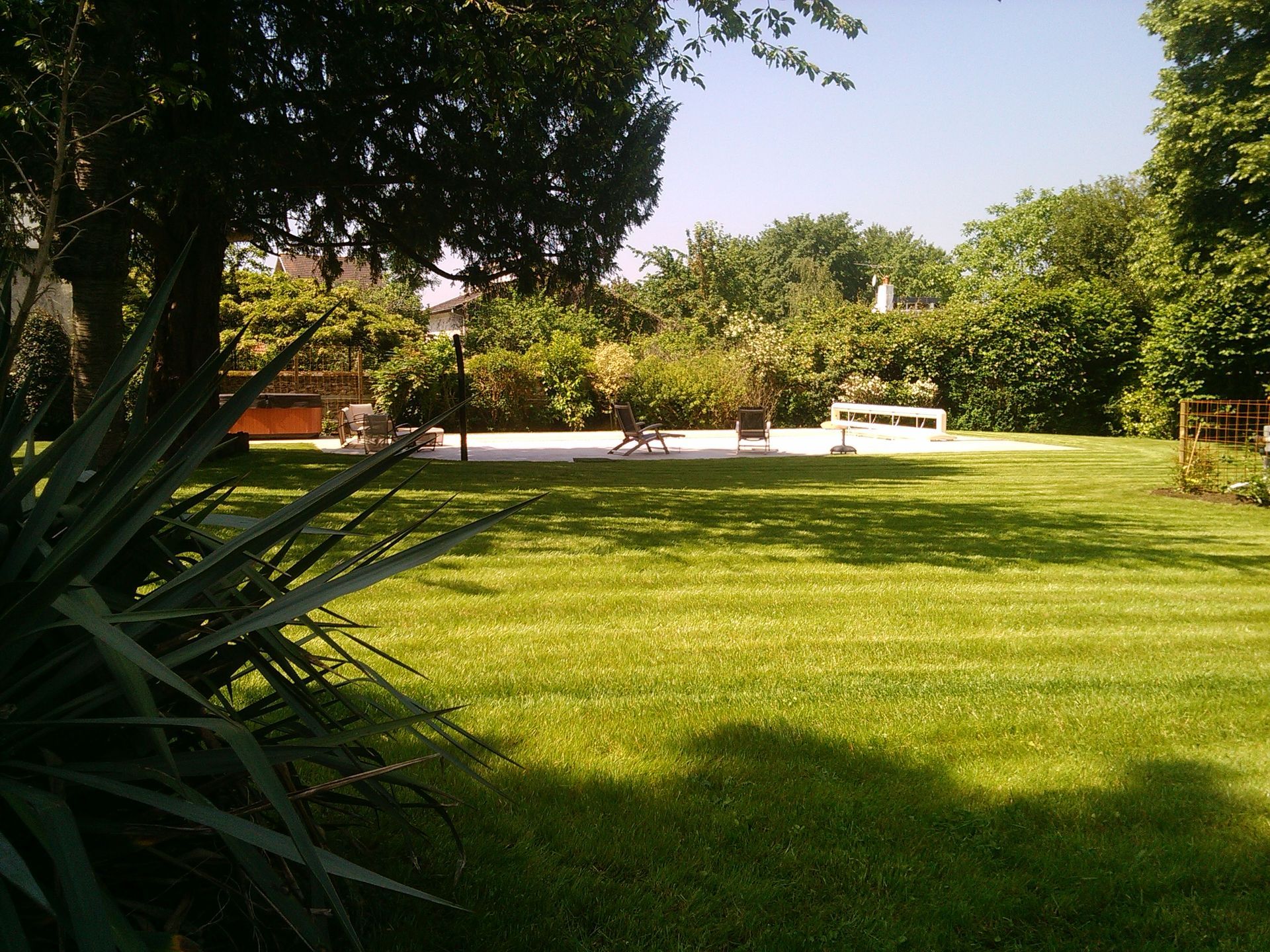 Pelouse verdoyante dans un jardin, avec des arbres entourant une terrasse. Lumière vive, ombres.