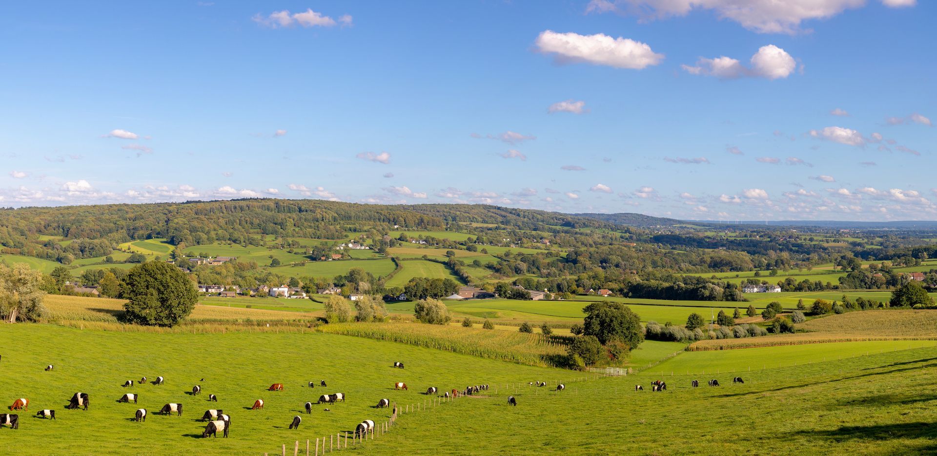 Limburg is een provincie vol charme, natuur en cultuur. 
