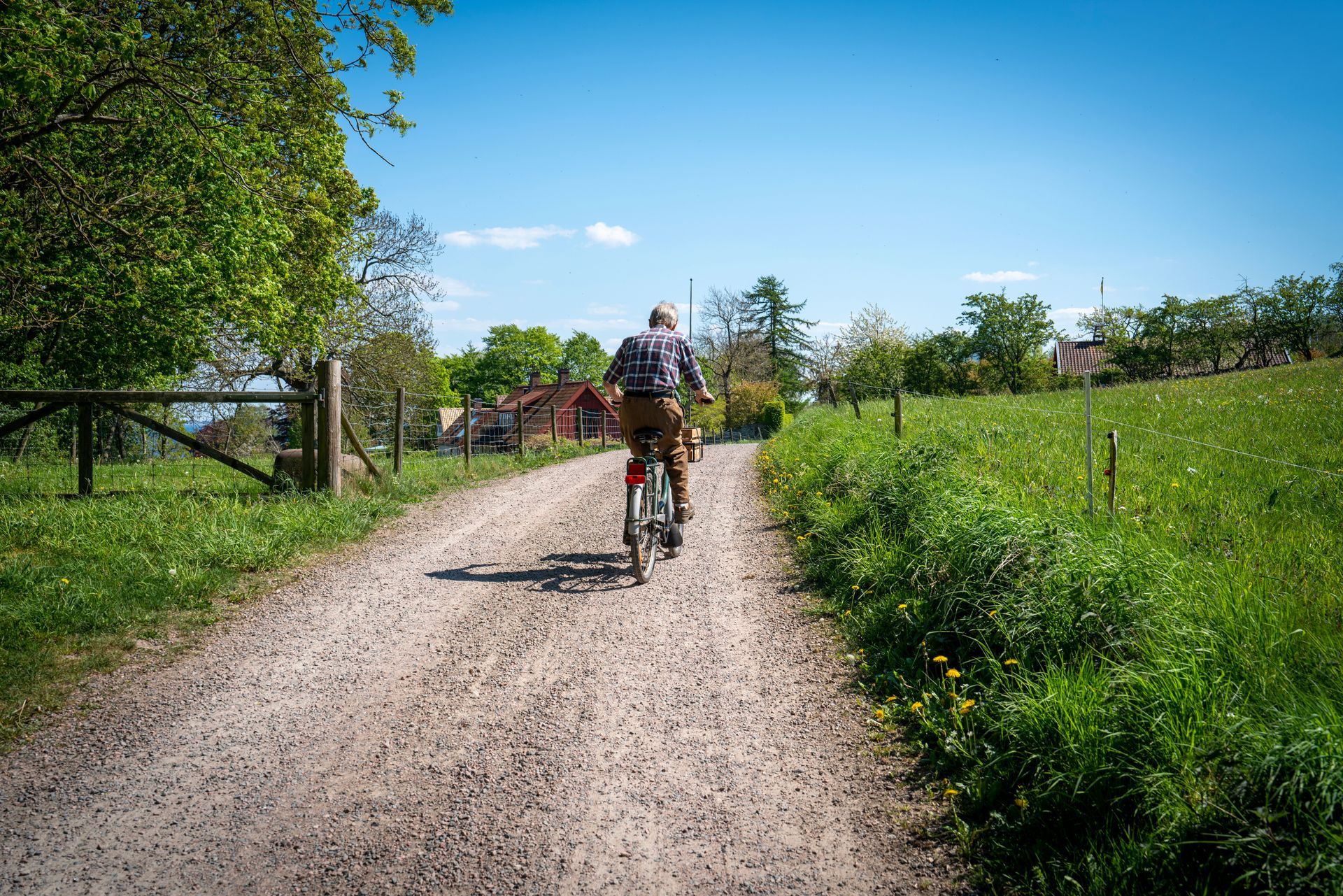Cyclist riding on a gravel path through a green countryside field on a sunny day