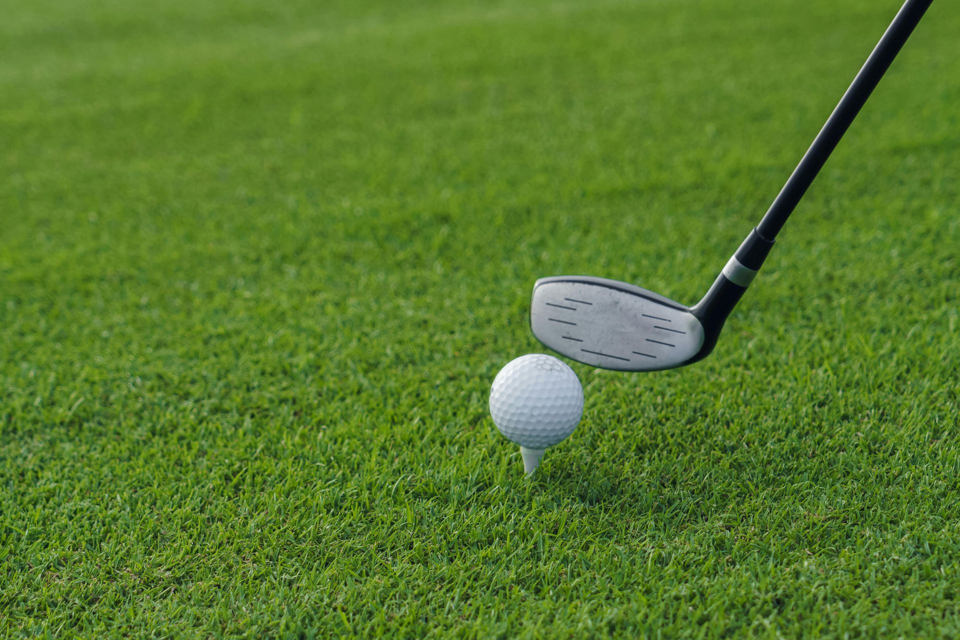 golfbal op golfbaan.