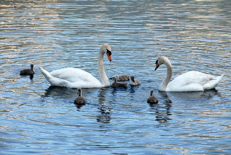 Fotografie Alfons Weber
