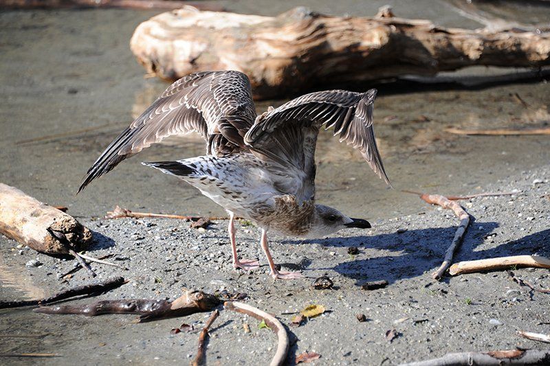 Fotografie Alfons Weber
