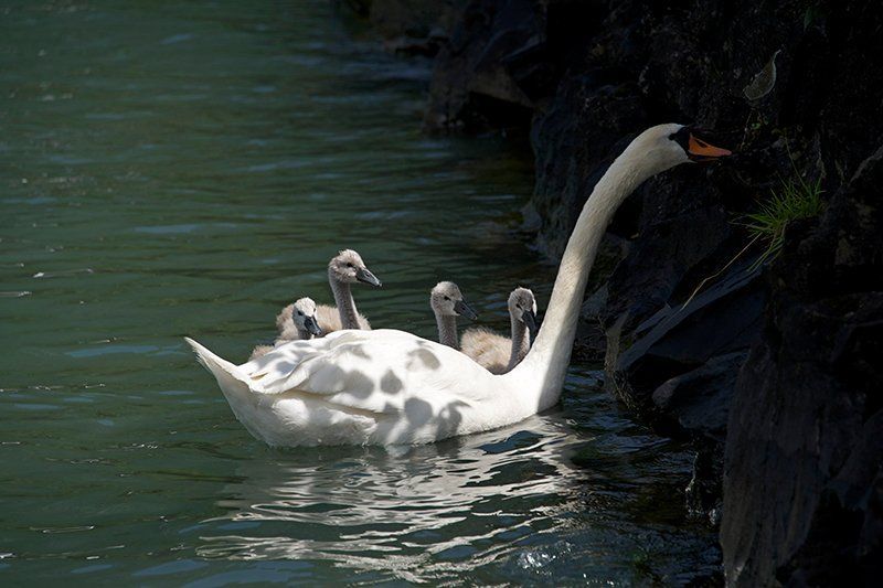 Fotografie Alfons Weber
